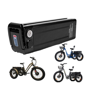 Batería Personalizada de 48v para Triciclo Plegable, Batería para Bicicleta Eléctrica de 3 Ruedas, Paquetes de Baterías para Triciclo Eléctrico - Product Image 1