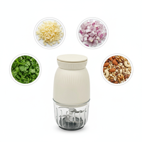 Robot culinaire électrique multifonctionnel en verre pour usage domestique, capacité 0,3 L, 4 lames, hachoir et moulin à viande