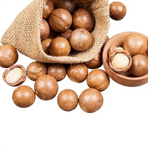 Nueces de Macadamia Deliciosas y Saludables al Por Mayor, en Concha, Empaquetado a Granel, Más Vendidas - Product Image 1