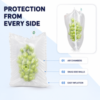 Sac anti-dommages pour raisins, sans perforation, résistant aux chocs, manchon gonflable robuste entièrement gonflé pour la protection des fruits à l'exportation