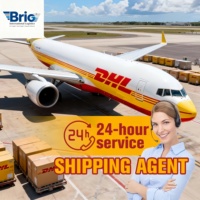 Servicios de Logística Express Rápidos y Económicos, FBA, Transporte Marítimo y Aéreo, DDP, LCL, de China a EE. UU., Reino Unido, Francia, Alemania, Italia, Canadá, España