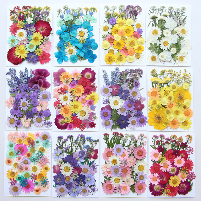 O-X900 Wholesale Flower Specimens Mixed Pressed Dried Flowers Diy Makeup Nail Phone Case Frame Plant Natural Flower Press Kit