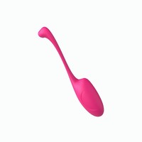 Vibrateur de culotte rechargeable à contrôle Bluetooth via application, longue portée, pour point G, jouet sexuel pour adultes, œuf d'amour portable pour couples