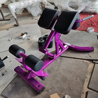 Chaise romaine d'hyperextension pour la musculation, banc de levage des fessiers et des ischio-jambiers, équipement de musculation pour l'hyperextension dorsale et les sit-ups