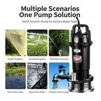 Nouvelle Arrivée Pompe à Eau Submersible Monophasée QDX à Haute Pression et Économe en Énergie, Modèle OEM pour l'Alimentation en Eau des Fermes