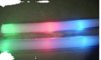 Bâtons lumineux en mousse électriques en forme d'arbre pour Noël, la Saint-Valentin, la rentrée scolaire et Pâques - LED 3 couleurs