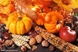 Fertilizante de Algas con Ácido Algínico y Clorofila en Spray <span class=keywords><strong>Foliar</strong></span> <span class=keywords><strong>para</strong></span> Árboles <span class=keywords><strong>Frutales</strong></span> y Flores, Protección Anti-Caída y <span class=keywords><strong>para</strong></span> el Crecimiento - Product Image 4