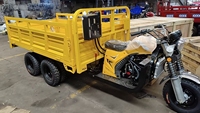 Venta caliente de alta calidad gran carga triciclo eléctrico de 9 ruedas triciclo eléctrico para entrega de carga