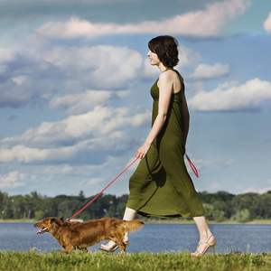 Correa de Nailon Resistente y Acolchada para Perros, Correa de Entrenamiento de 130 cm (4.26 pies), Personalizada, de Moda - Product Image 2