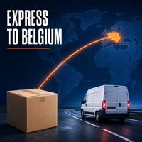 Agent d'expédition FBA de Chine vers la Belgique, transport express FBA Amazon, 3-6 jours, DDP porte-à-porte, numéro de suivi