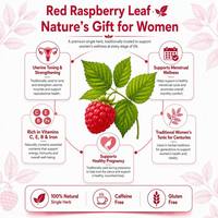 Thé aux feuilles de framboisier OEM ODM personnalisé pour femmes, à base de plantes, sans caféine, certifié ISO22000, pour l'équilibre hormonal, le soutien de la fertilité et le réchauffement utérin AAA