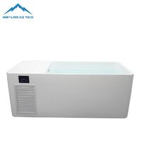 Baignoire de plongeon froid en acrylique ODM OEM avec écran tactile WiFi, éclairage LED et jets de massage