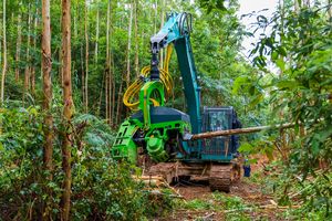 Machinerie forestière pour la coupe des arbres d'eucalyptus, la récolte de grumes, machine forestière pour la coupe du bois, équipement d'exploitation forestière, tête de récolte - Product Image 3