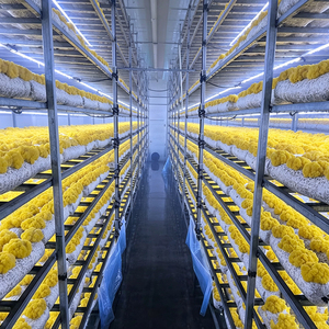 Sistema de Cultivo Hidropónico Vertical Inteligente de Buena Calidad, Contenedor para Cultivo, Fábrica de Plantas en Contenedores Inteligentes - Product Image 6