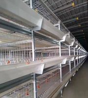 Cages à poules à batterie automatiques pour poulets