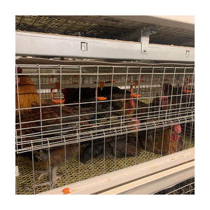 Yeni H tipi çelik galvanizli otomatik Broiler katmanlı kafes tavuk yetiştiriciliği perakende hayvan kafesi ekipmanları - Product Image 4