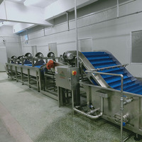Fabriek Directe Levering Automatische Ingeblikte Kikkererwten Groene Erwtenverwerkingslijn Nieuwe Productielijn Voor Plantaardige Fruitconservenmachines