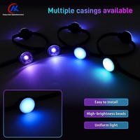 Sumber Cahaya Titik LED RGB 20mm 12V IP67 Tahan Air Digital Node untuk Papan Nama Taman Hiburan dan Dekorasi Acara