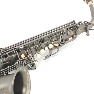 Sassofono Contralto in Mib Antiruggine per Intrattenimento, Corpo in Ottone, Finitura Nera Opaca Placcata Nichel, Stile Antico, Testata in Bachelite, <span class=keywords><strong>Sax</strong></span> EB - Product Image 4