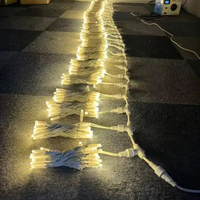 DMX 512 LED programmables polychromes Pixels intelligents de Noël Guirlande lumineuse décorative pour rideau extérieur RVB