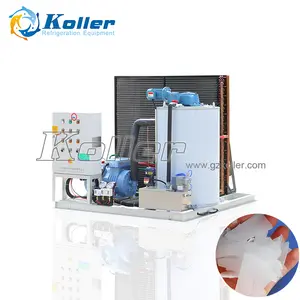 Koller-máquina de hielo en escamas de 3 toneladas, fabricante hecho con escamas puras y secas