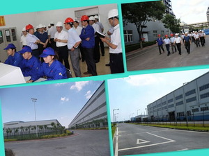 Engrais agricole EDDHA Fe 6% Engrais ferrique chélatant organique - Product Image 4