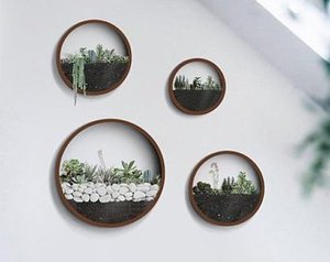 Maceta Circular de Acero Corten para Decoración de Paredes - Product Image 2