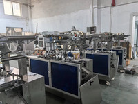 Machine d'emballage sous blister Yongstar pour miel, ketchup liquide, pâte, chocolat, confiture, miel