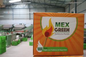 Allumettes de sécurité sud-africaines à usage domestique - Product Image 4