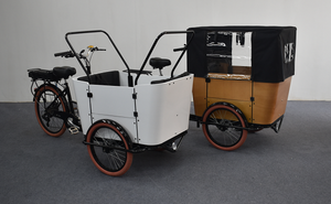 Biciclette Cargo e Passeggeri per Famiglie Tricicli per il Trasporto di Animali Domestici - Product Image 4