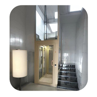 Ascenseur résidentiel hydraulique à 3 étages pour petits ascenseurs de passagers pour la maison avec enceinte