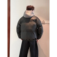 Veste en duvet pour homme, design classique de luxe léger de haute qualité, veste en duvet d'hiver