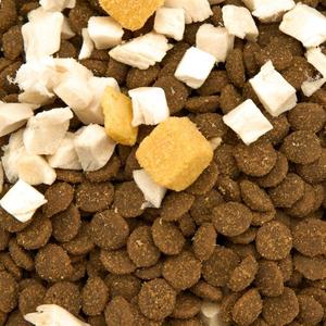 HANOU Makanan Kucing Kering Alami Tinggi Protein - Bentuk Ikan Formula Kesehatan Pencernaan untuk Semua Tahap Hidup - Product Image 1
