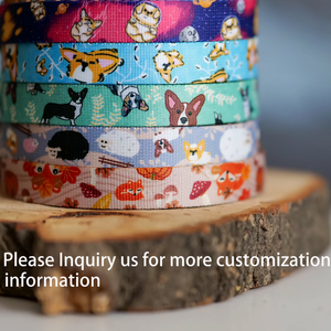 5 En 1 bandolera de dibujos animados mascota manos libres cinturón de plomo ligero Reversible poliéster nailon manos libres correa de perro personalizada - Product Image 6