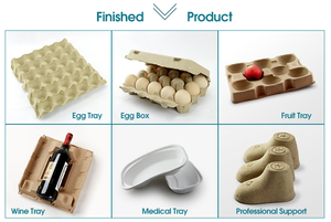 종이 펄프 계란 상자 기계 계란 포장 계란 트레이 장비 생산 라인 - Product Image 5