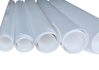 Feuille de PTFE expansé Tenglong, feuille d'étanchéité 100 % EPTFE vierge, matériau de joint non vieillissant pour le refroidissement liquide des semi-conducteurs et de l'IA
