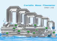 Débitmètre de masse cryogénique antidéflagrant CMASS ATEX pour hydrogène (-255°C) avec contrôle de processus chimique, densimètre, logo personnalisé