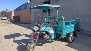 Triciclo <span class=keywords><strong>de</strong></span> <span class=keywords><strong>Carga</strong></span> a Gasolina <span class=keywords><strong>de</strong></span> 150cc, Modelo 2026, Proveedor Chino, Motocicleta Personalizada <span class=keywords><strong>de</strong></span> <span class=keywords><strong>Tres</strong></span> <span class=keywords><strong>Ruedas</strong></span> para Transporte <span class=keywords><strong>de</strong></span> Mercancías Pesadas para Adultos - Product Image 4