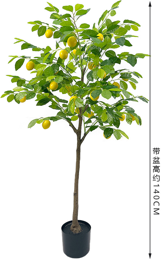 140cm