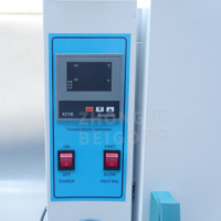 136L 225LCustomized Electric Constant Temperature Blast Drying Oven