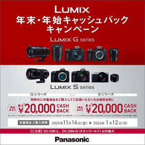 Pa nasonic เลนส์แลกเปลี่ยน varo-elmarit 8-18mmF2.8-4.0 ASPH. [ไมโครสี่ในสามเม้าท์เซนเซอร์ CMOS กล้องมิลเลอร์เลส - Product Image 6