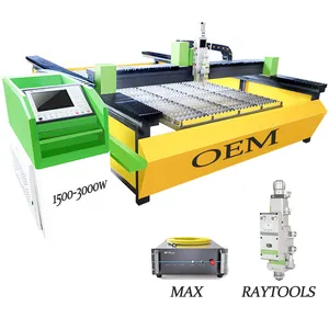 High-performance CNC Laser cutting machine Cut table Decoration 1500W 3000W MAX RAYCUS CNC laser cutter BT220 FANGLING 220v 380v