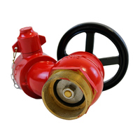 Robinet d'arrêt oblique d'entrée de 2,5'' pour hydrant incendie, équipement de protection incendie, accessoire de lutte contre l'incendie