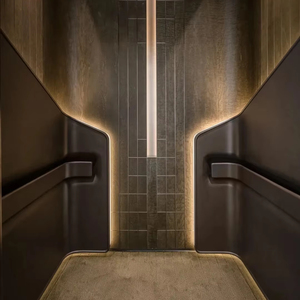 Ascensor Eléctrico Residencial para 4-6 Personas, 400kg 600kg, Ascensor de Tracción para Pasajeros, 3 Pisos, para Viviendas y Villas - Product Image 1