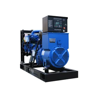 50KW Silent 50Hz 3phase Low Noise Factory Cheap Price Water-cooling 50kva Silent Diesel Generator