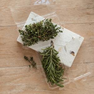 0.75-1 Oz.Rectangle Plastic Container With Hinged Lid Clear Herbs Clamshell Vegetable Packaging Plastic Herb Container