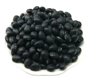 China Polished Black Soybean with Yellow Kernels Small Good Price Black Beans