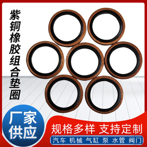 Juntas tóricas combinadas D22.4d18.5 de doble capa, resistentes al aceite y de alta presión para automóviles - Product Image 3
