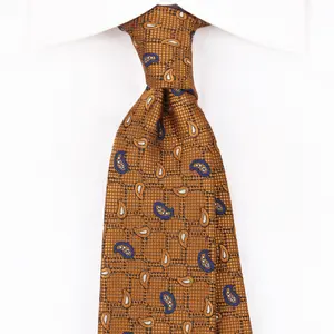 高品质提花奢华男士领带佩斯利意大利聚领带