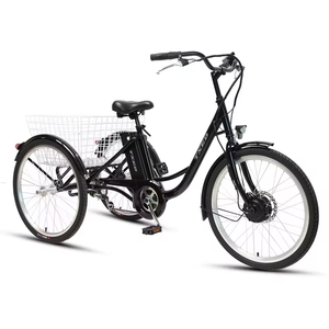 Triciclo de Cuerpo Abierto de 24 Pulgadas para Entrega de Alimentos Familiar con Motor de 250W, Batería de Litio de 36V 13Ah, Neumático Grueso de 20 Pulgadas, Bicicleta Eléctrica en Oferta - Product Image 1